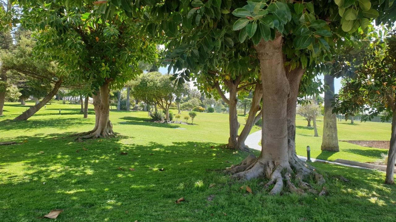 Torres De Aloha 2 Bdr Puerto Banus Lejlighed Marbella Eksteriør billede